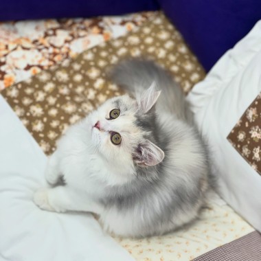 분위기 뭐야.. 너무 세련돼